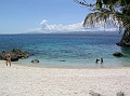 2. Apo Island58